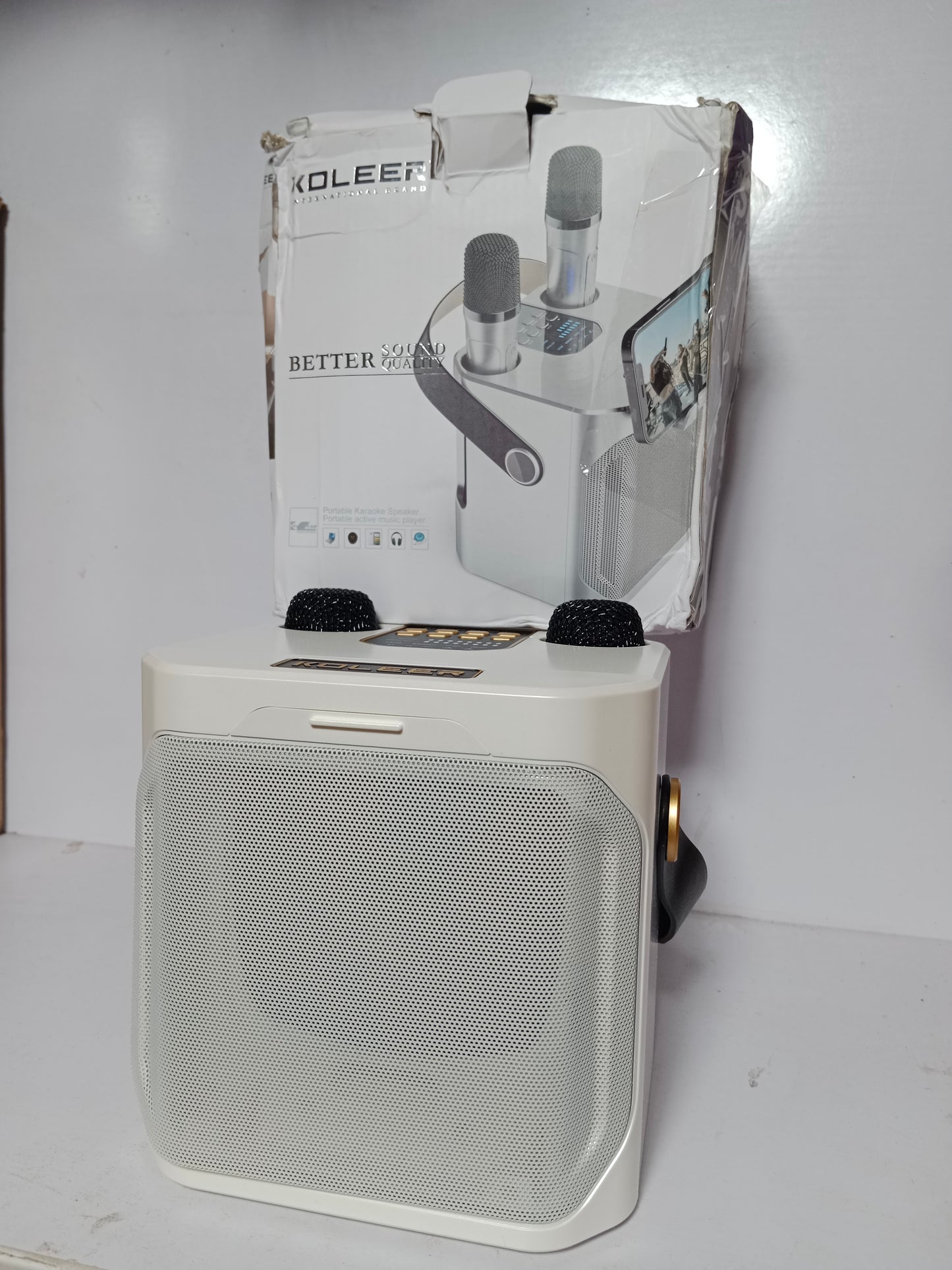 Koleer Portable Karaoke Speaker with Dual Wireless Microphones
